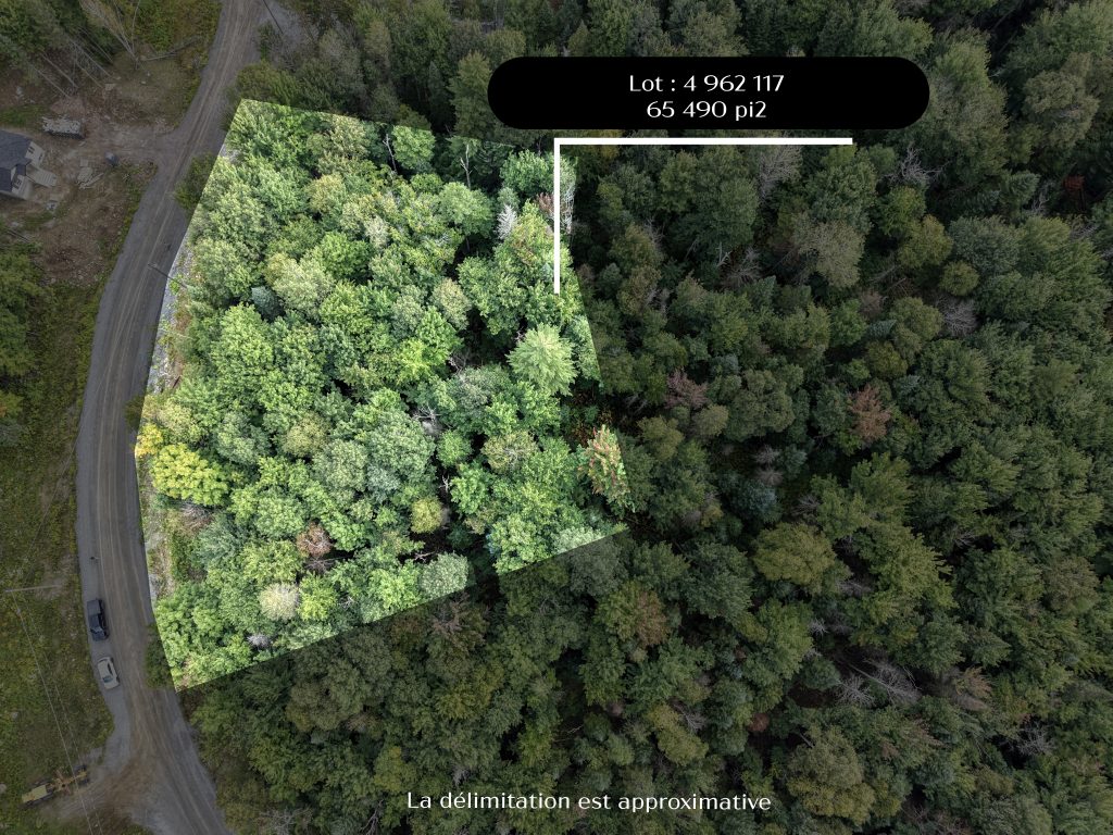 DJI 20260828091148 0300 D 7 copie 2