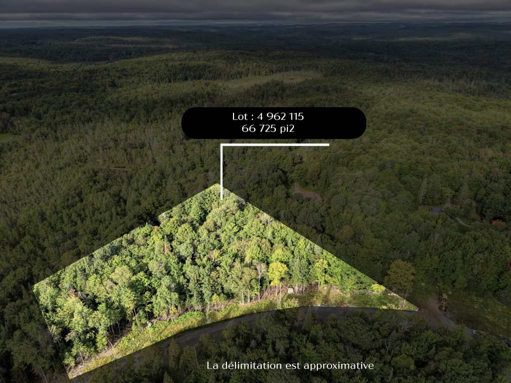 DJI 20260828091600 0315 D 12 copie 2