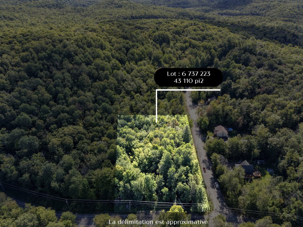 DJI 20260828104648 0414 D 45 copie